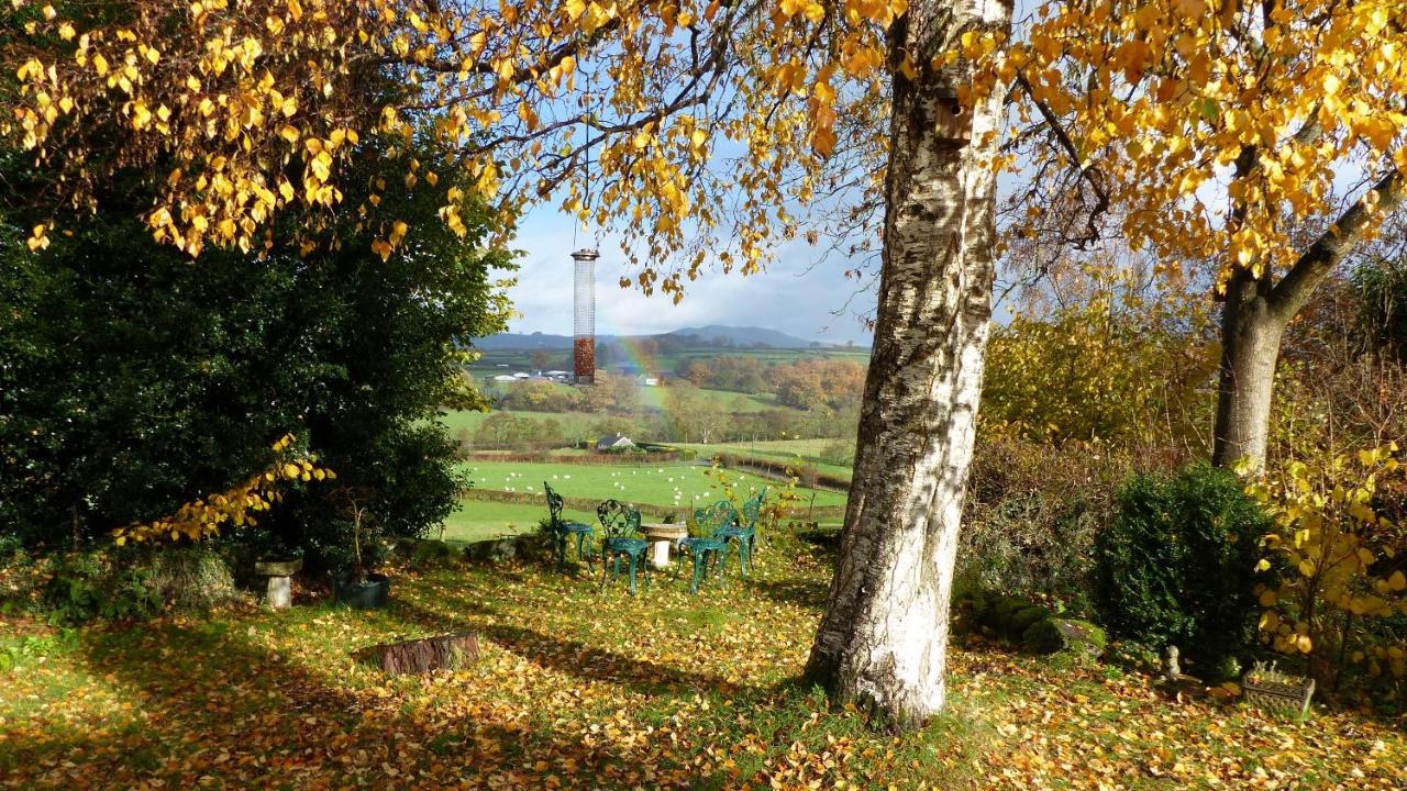 Dolifor Apartment Llanwrthwl Екстериор снимка