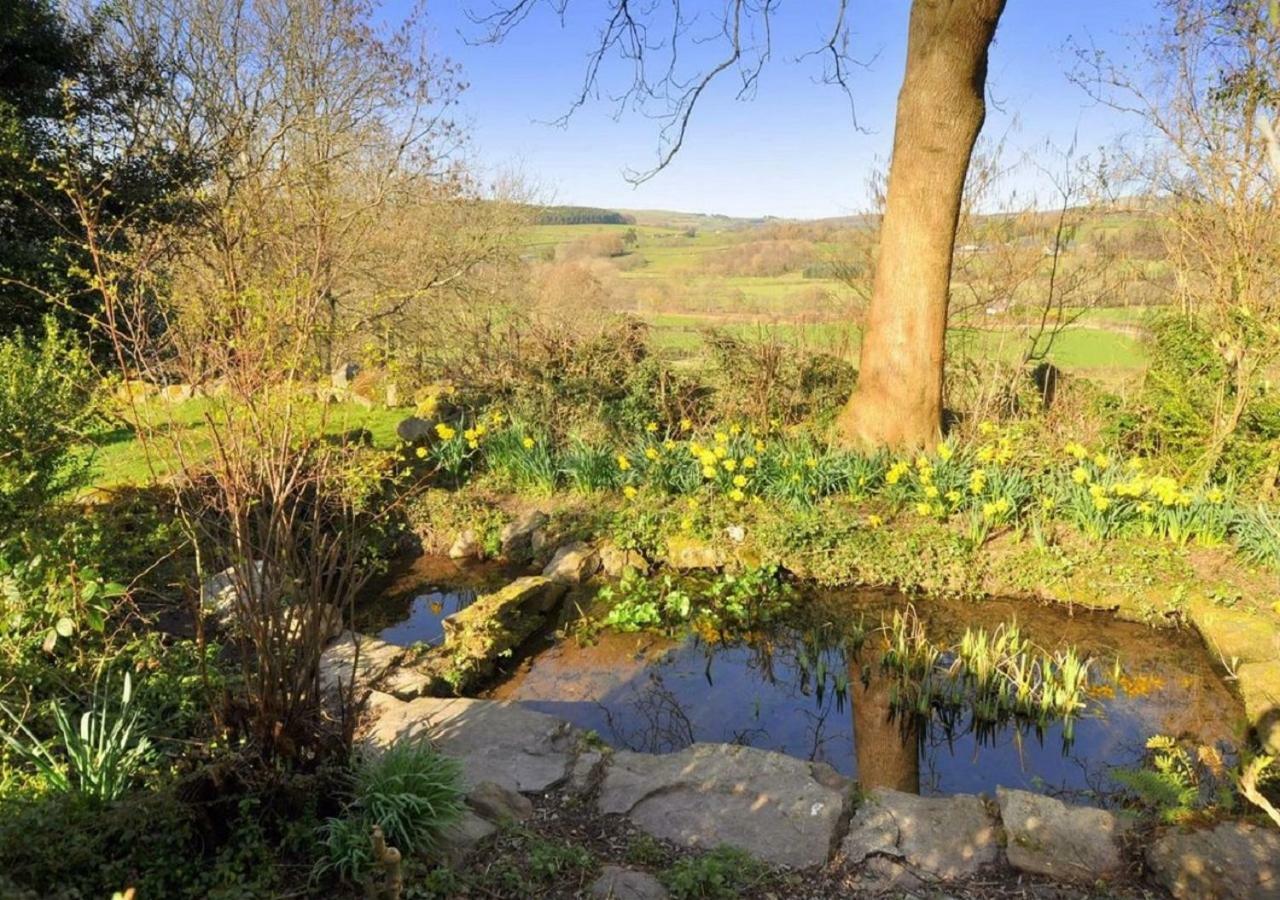 Dolifor Apartment Llanwrthwl Екстериор снимка